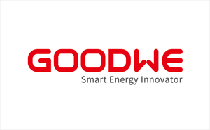 Goodwe